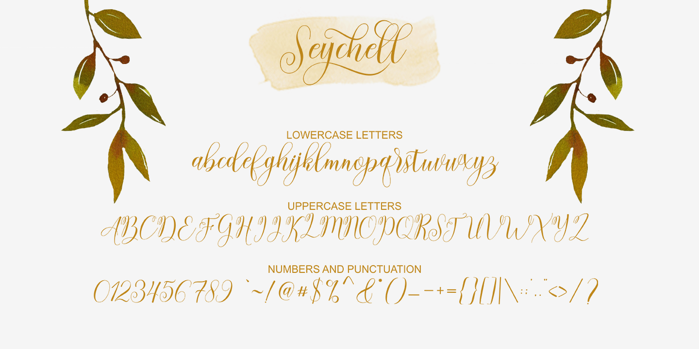 Пример шрифта Seychell Script Regular